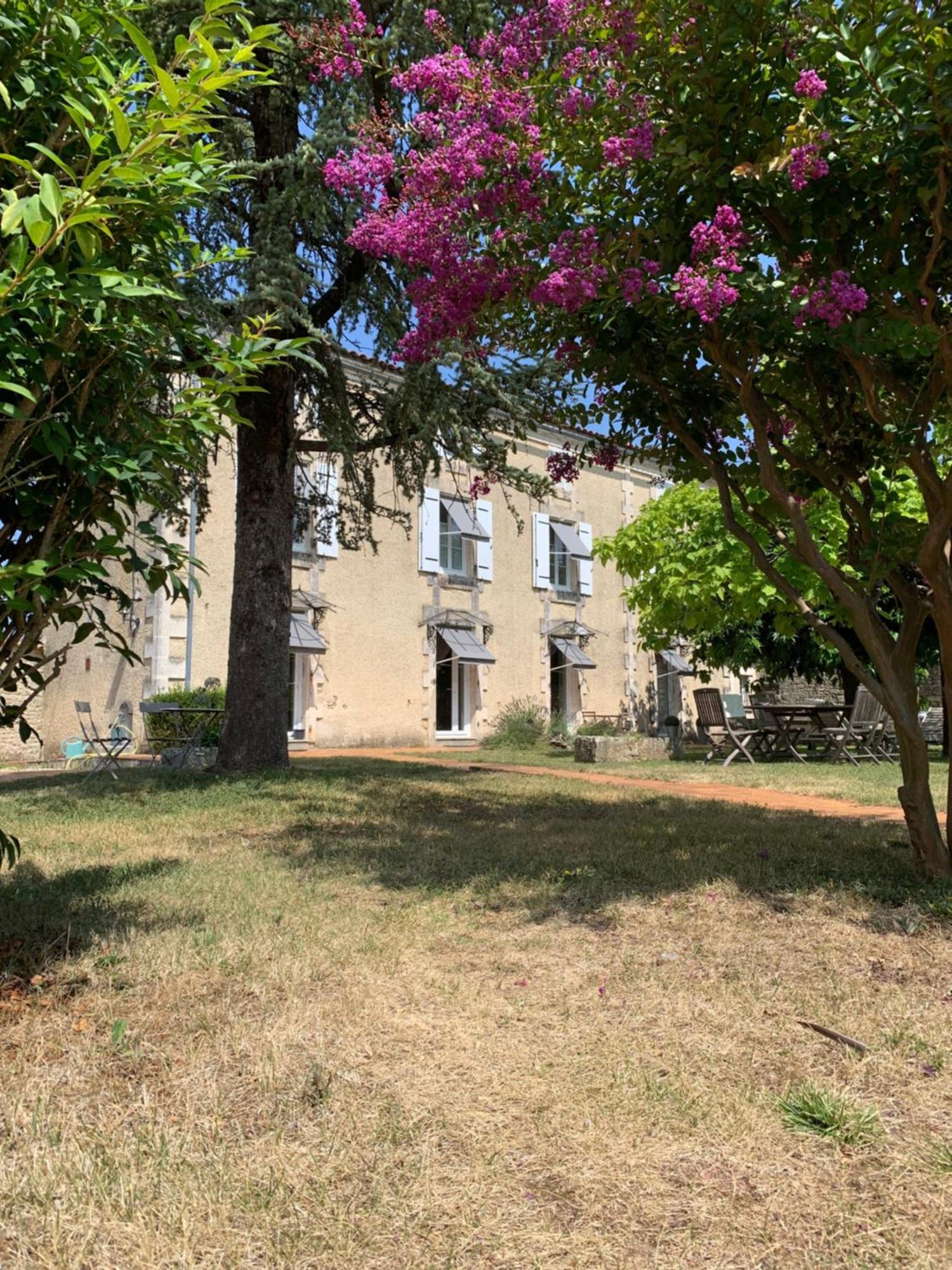 לינה וארוחת בוקר The Cool Lounge A Coulonges - Charente מראה חיצוני תמונה