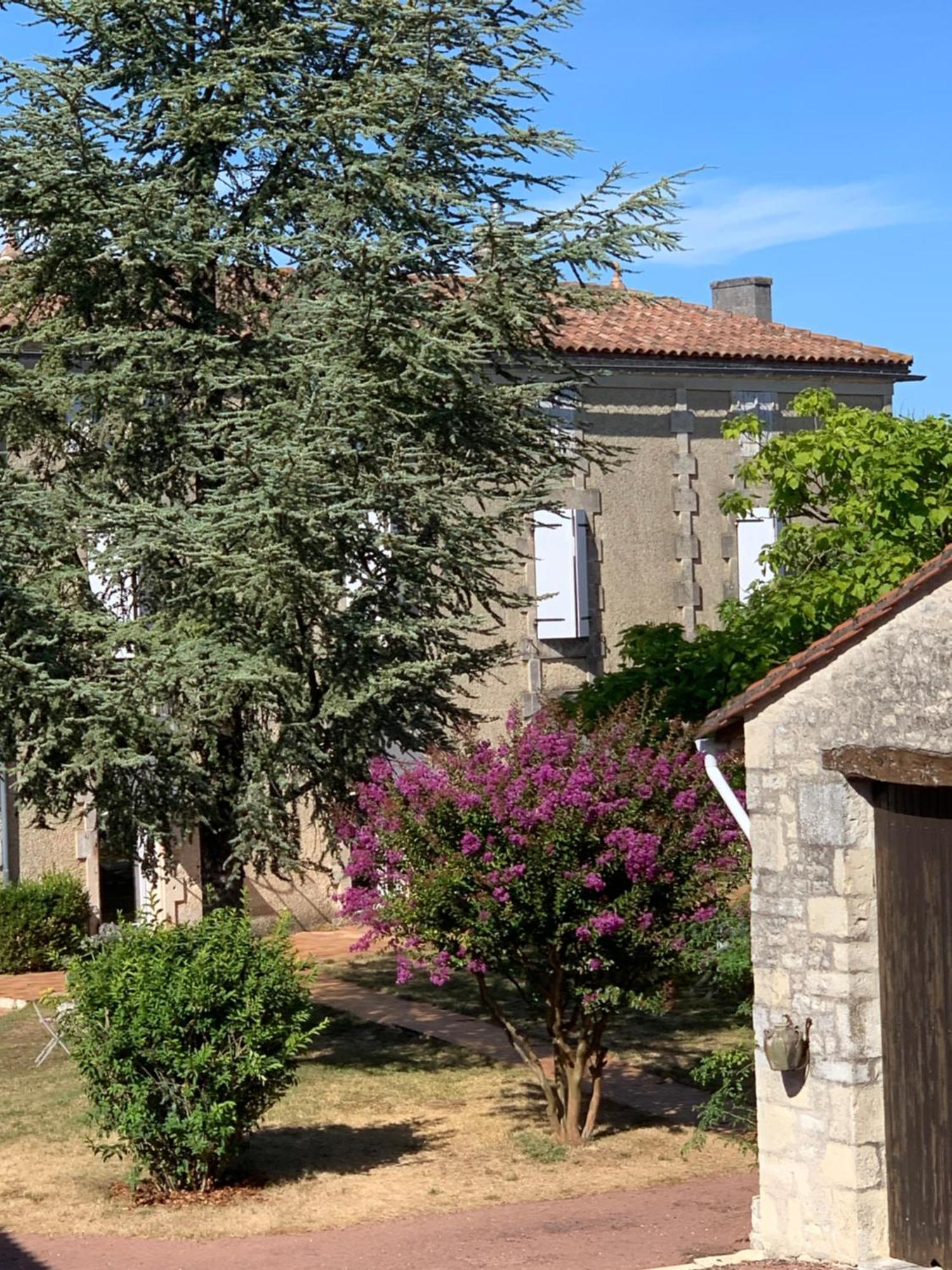 לינה וארוחת בוקר The Cool Lounge A Coulonges - Charente מראה חיצוני תמונה