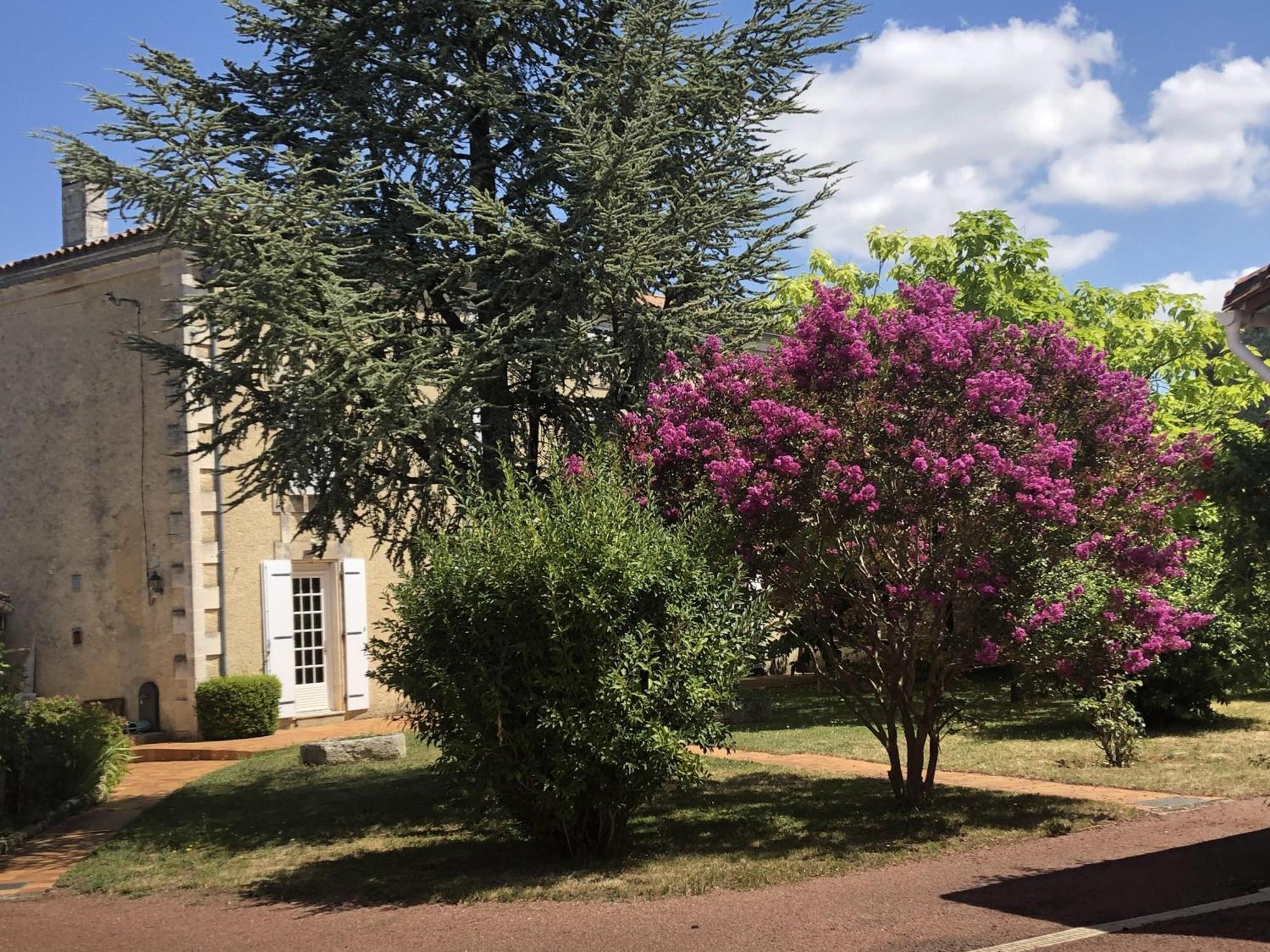 לינה וארוחת בוקר The Cool Lounge A Coulonges - Charente מראה חיצוני תמונה